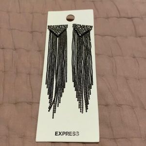 Express Earrings